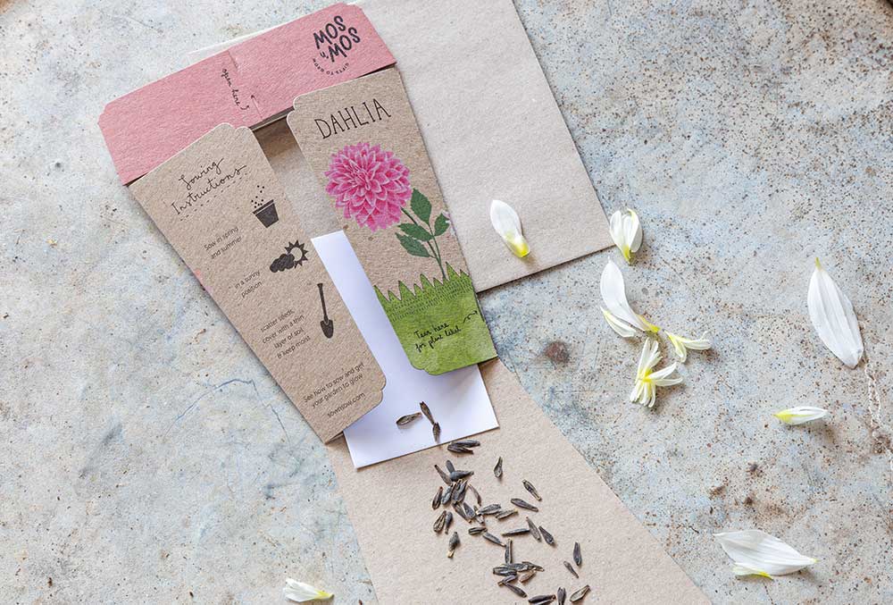 Sow 'n Sow - Wholesale Plant seeds - Dahlia Gift of Seeds (Australia Only)4