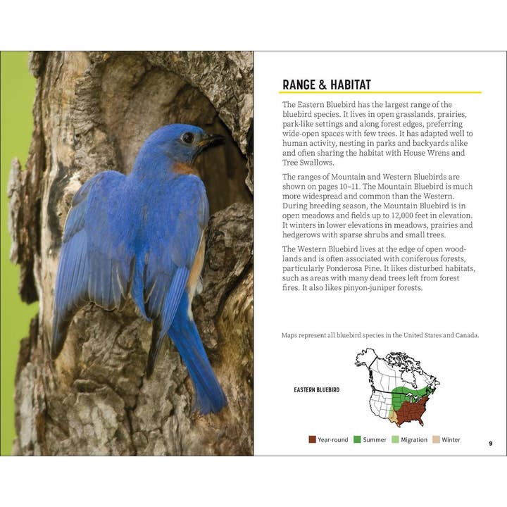 AdventureKEEN - Wholesale Nature & Outdoors - Attracting & Feeding Bluebirds6