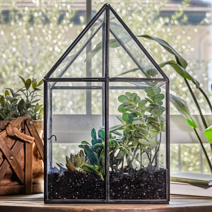 Urban Born - Wholesale Terrarium - Urban Born Oversized House Terrarium with Separate Stand1