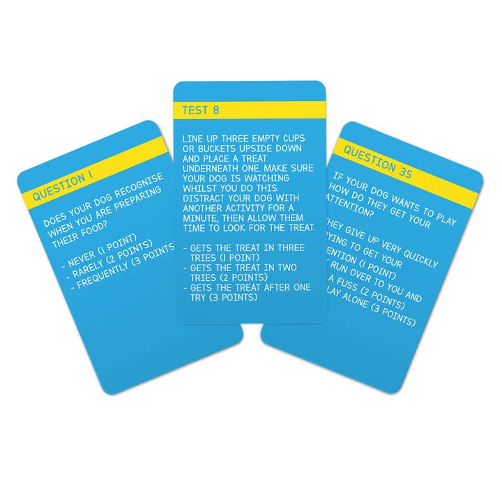 William Valentine Collection – wholesale Kortspel – Hund IQ Test1