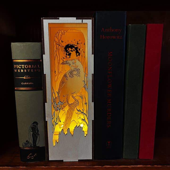 Squirrel Tacos Papercuts - Wholesale Bookend - Fantasy Book Nook with LED light - Library Raven1