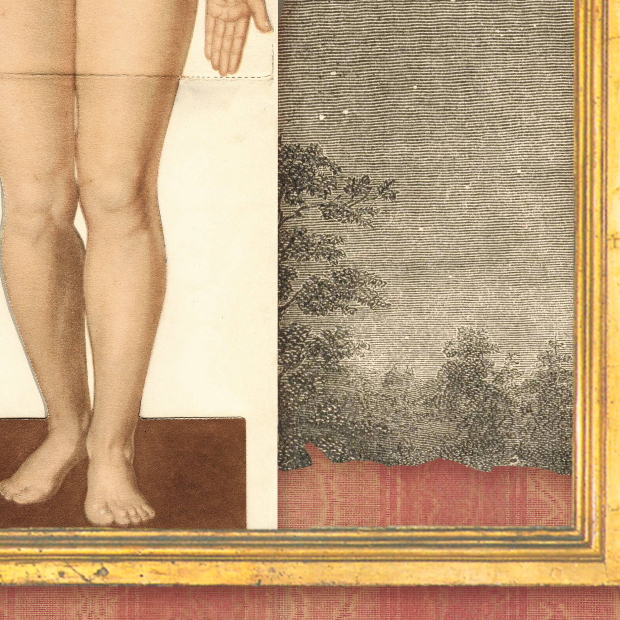 Pictrix Design – wholesale Krya på dig-kort – ”Post-op: Mastektomi” -kort för att bli frisk4