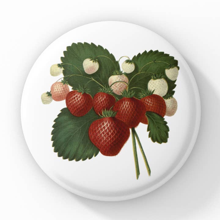 Spilla Fragola, Portachiavi Fragola, Magnete Fragola per la vendita all'ingrosso da parte di NatureCuts