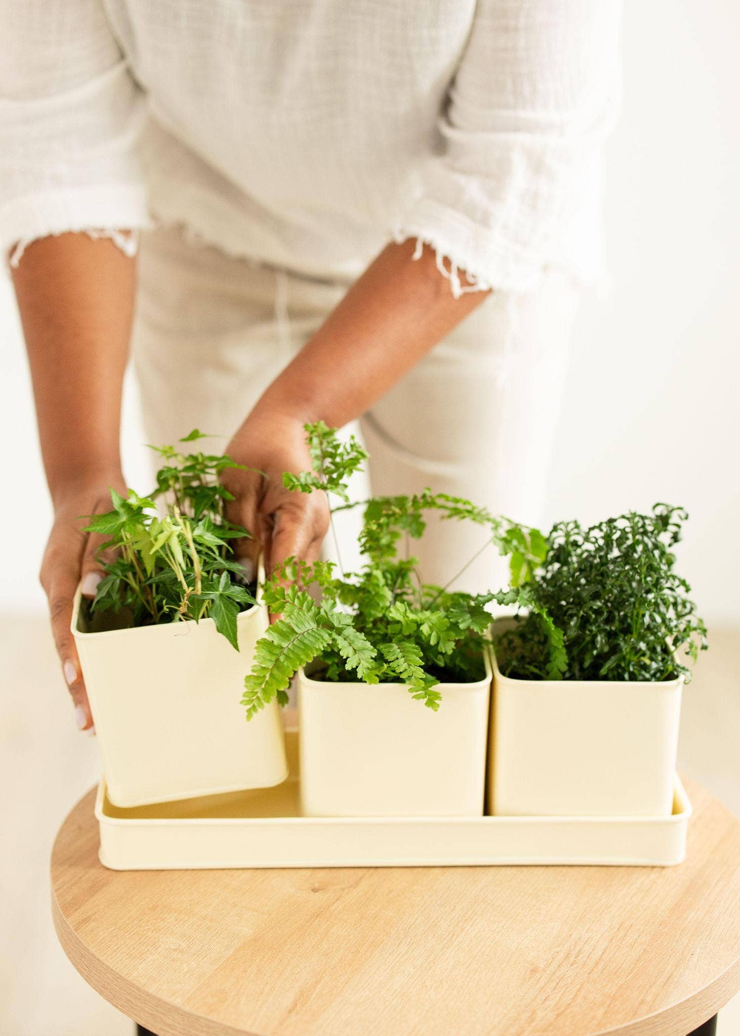 Mercy House Global - Wholesale Outdoor Sign - Window Planter Trio + Tray1