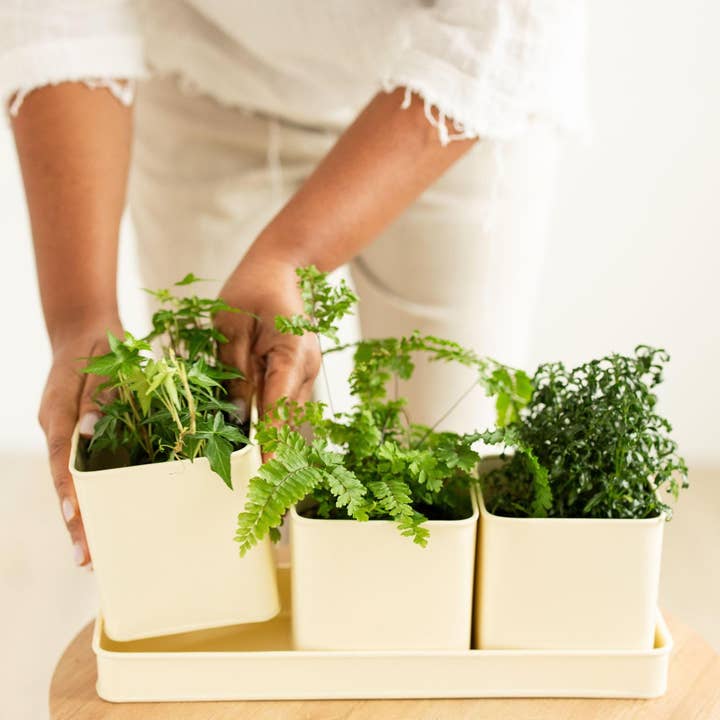 Mercy House Global - Wholesale Outdoor Sign - Window Planter Trio + Tray1