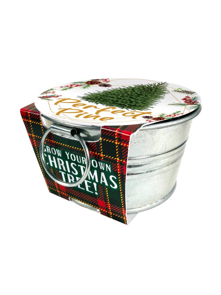 Perfect Pines - Grow Your Own Christmas Tree Seed Kit for wholesale by Silver Circle Products