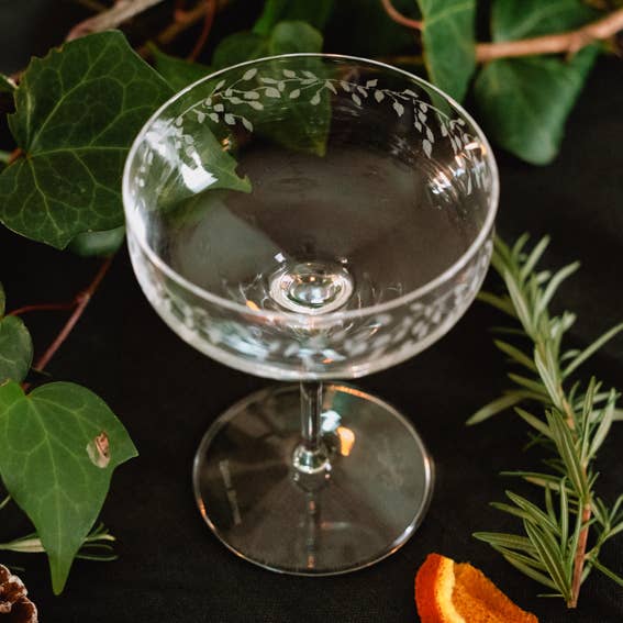 Emma Britton Decorative Glass Designer - Wholesale Cocktail/Liquor Glass - Silver Birch Etched Crystal Champagne Coupe (10.5oz)0