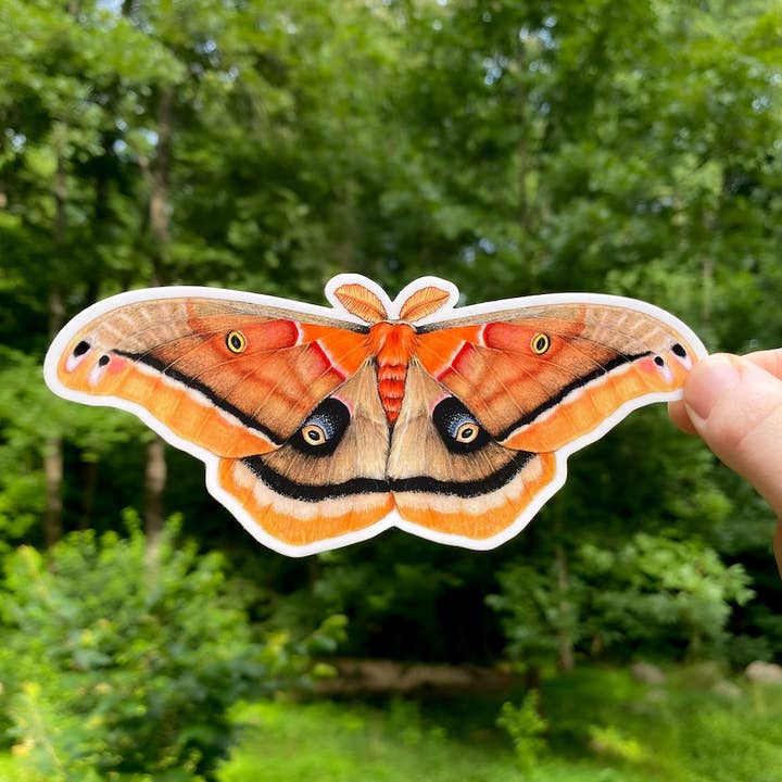 Wetterfester Vinylaufkleber Polyphemus Moth für den Großhandel von Allison Stoiser Art
