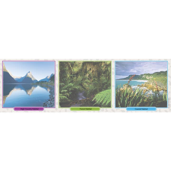 Science and Nature – wholesale Kortspel – Nya Zeeland Menagerie spel