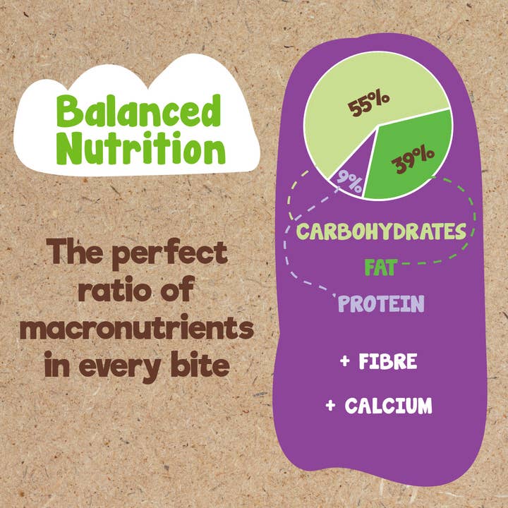 Good4U - Wholesale Fruit Snacks - Apple & Blackcurrant Nutri Balls4