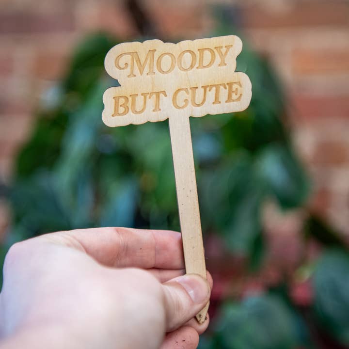 Moody But Cute - Plant Stakes for wholesale by Still Magnolia