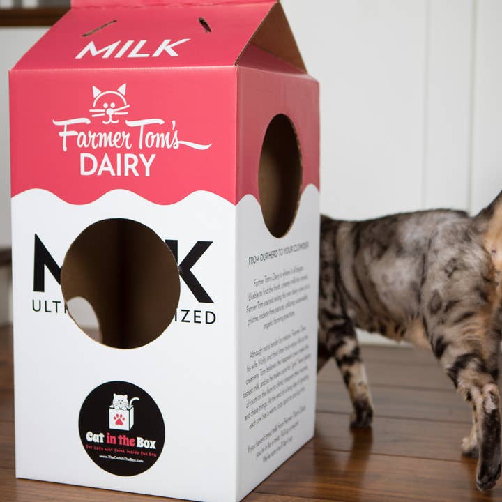 Cat in the Box LLC - Wholesale Speeltje - Kat - Mega Milk Carton - Kartonnen doos Speelhuis voor katten