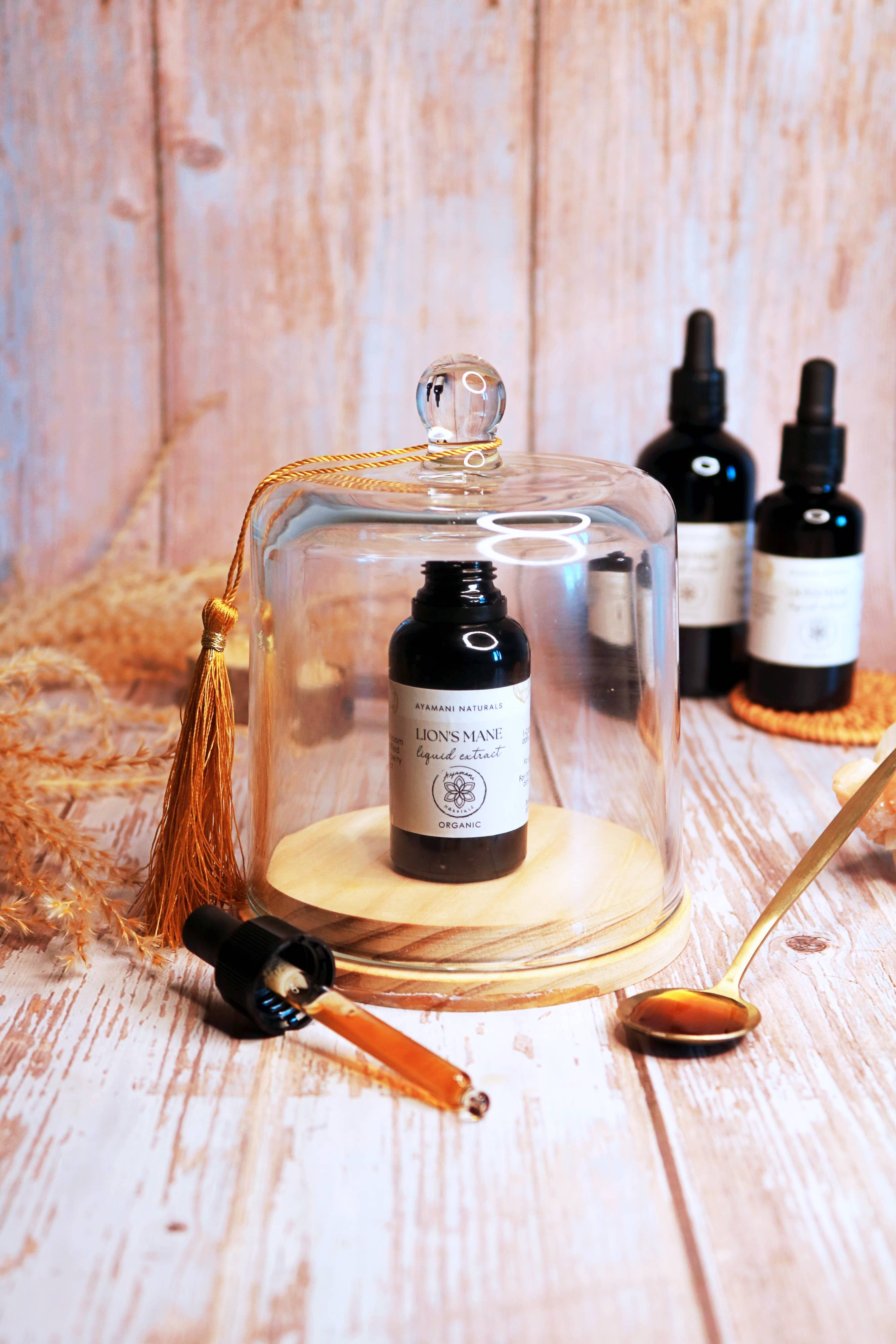 Ayamani Naturals – wholesale Tincture – Lion's Mane 15:1 Liquid Extract Alcohol Free | ORGANIC1