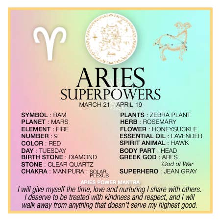 warm human - Wholesale Charm/Dangle Bracelet - ARIES SUPERPOWERS1