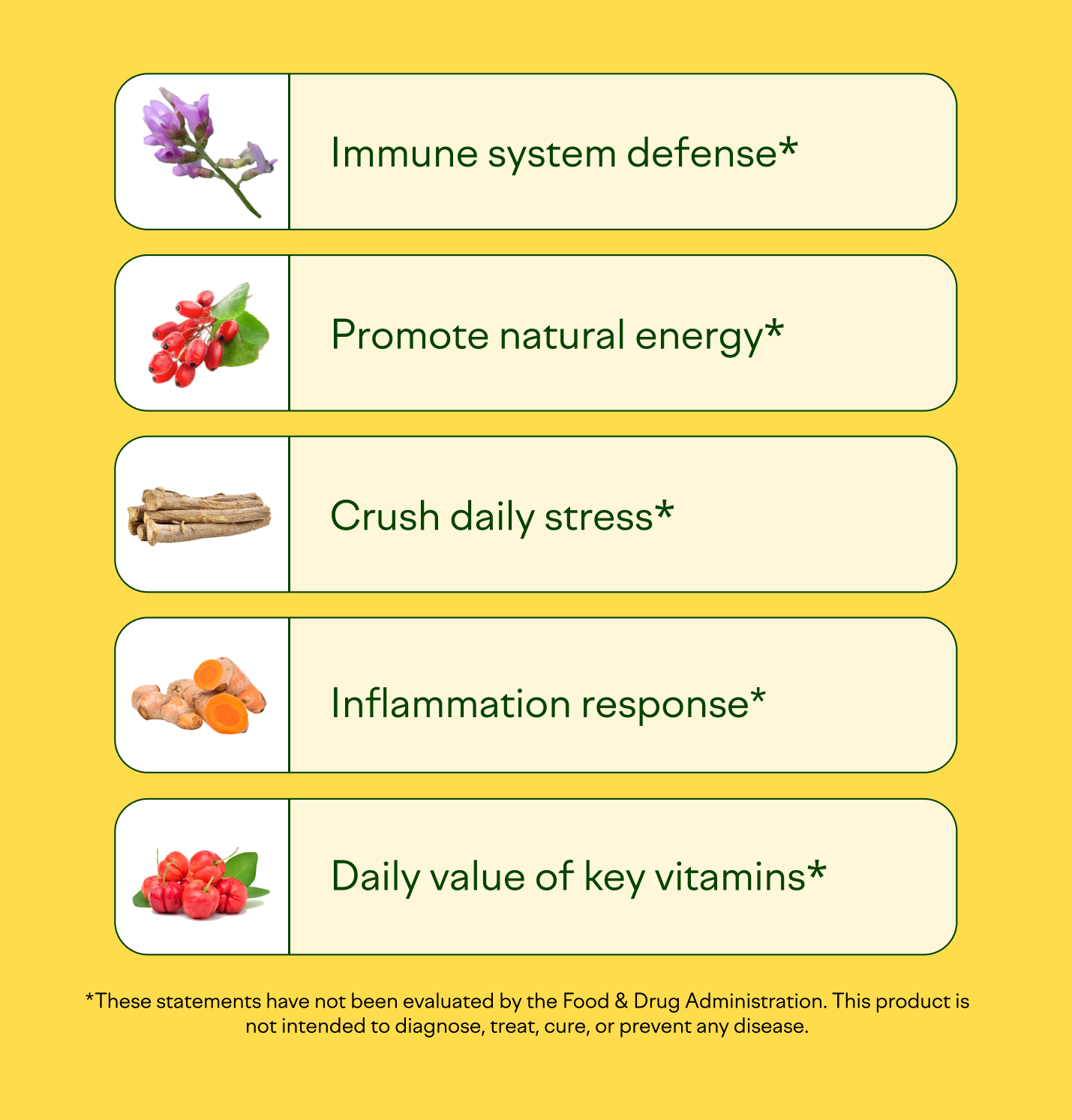 Feel Goods - Wholesale Oral Supplement/Vitamin - Immunity Icon™3