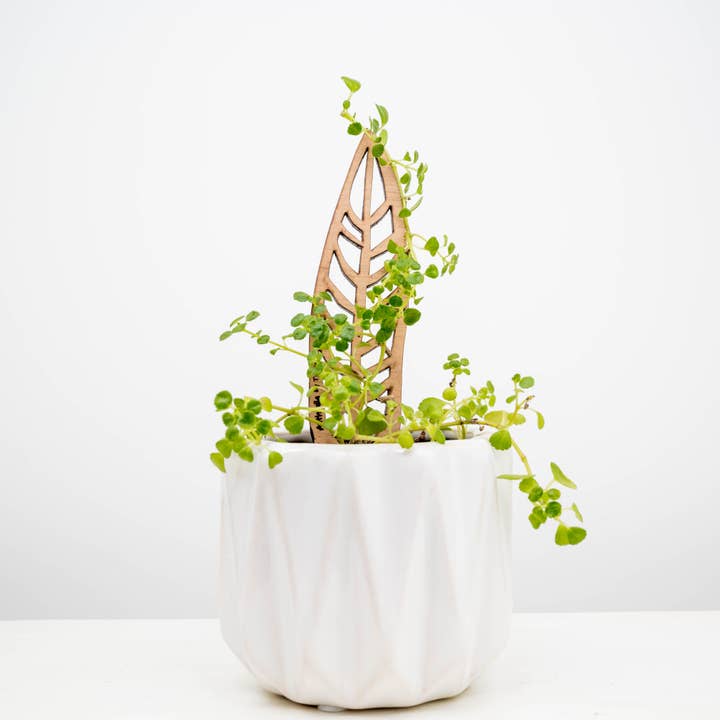 Treleaf – wholesale Garden/lawn stake – BARE Mini Trellises - Decorative wooden plant stakes4