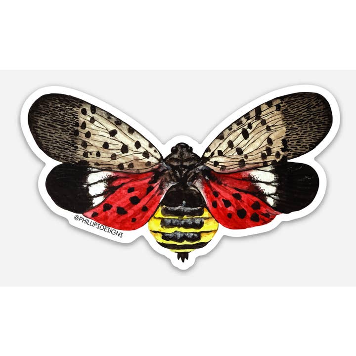 Lantern Fly Stickers for wholesale by Phillips Designs