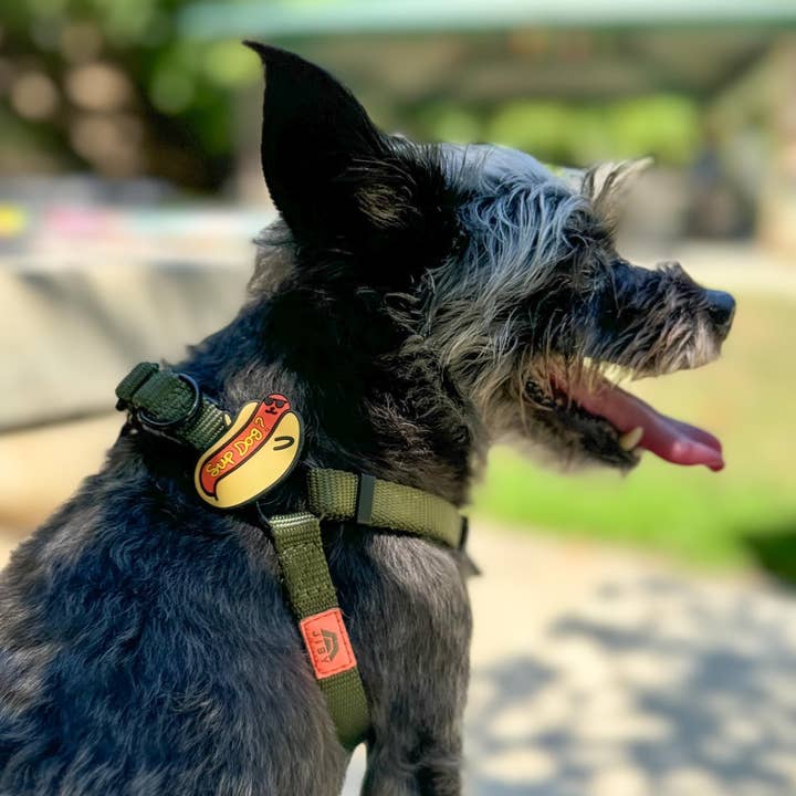 Jiby Dog Crew - Wholesale Pet Collar Charm - Cat/Dog - Sup Dog Jiby Dog Charm1