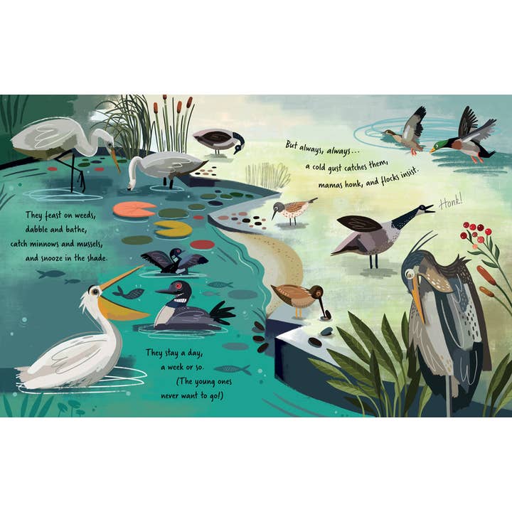 Barefoot Books - Wholesale Nature & Outdoors - Follow the Flyway2