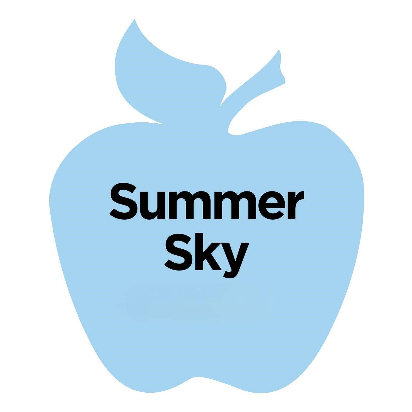 Plaid Crafts - Wholesale Acrylic Paint - Apple Barrel ® Multi-Surface Satin Acrylic Paint - 2 oz33