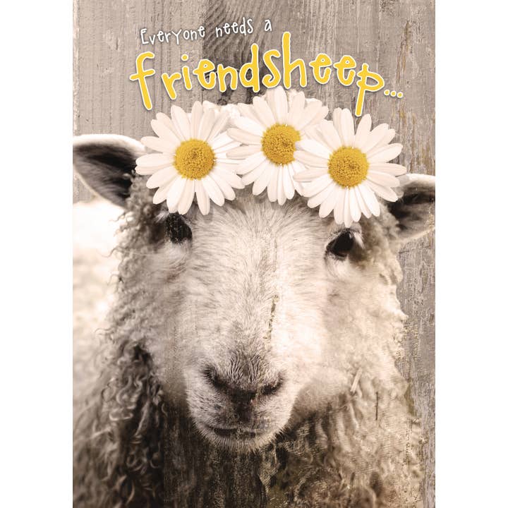 Greeting Cards by Norcard - Wholesale Friendship Card - FR/Friendsheep
