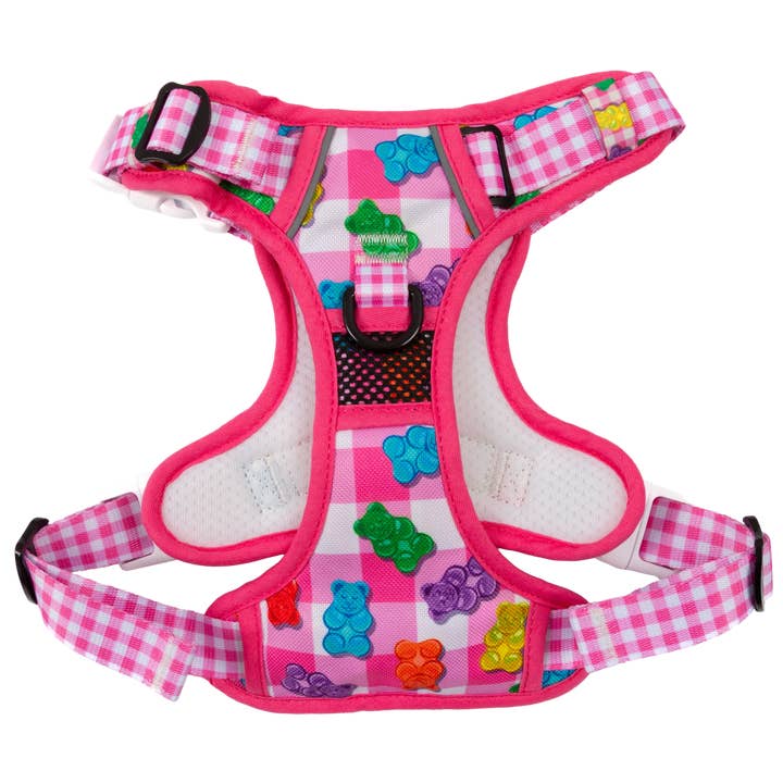 Big and Little Dogs - Wholesale Pet Harness - Dog - THE ALL-ROUNDER DOG HARNESS: Beary Sweet1