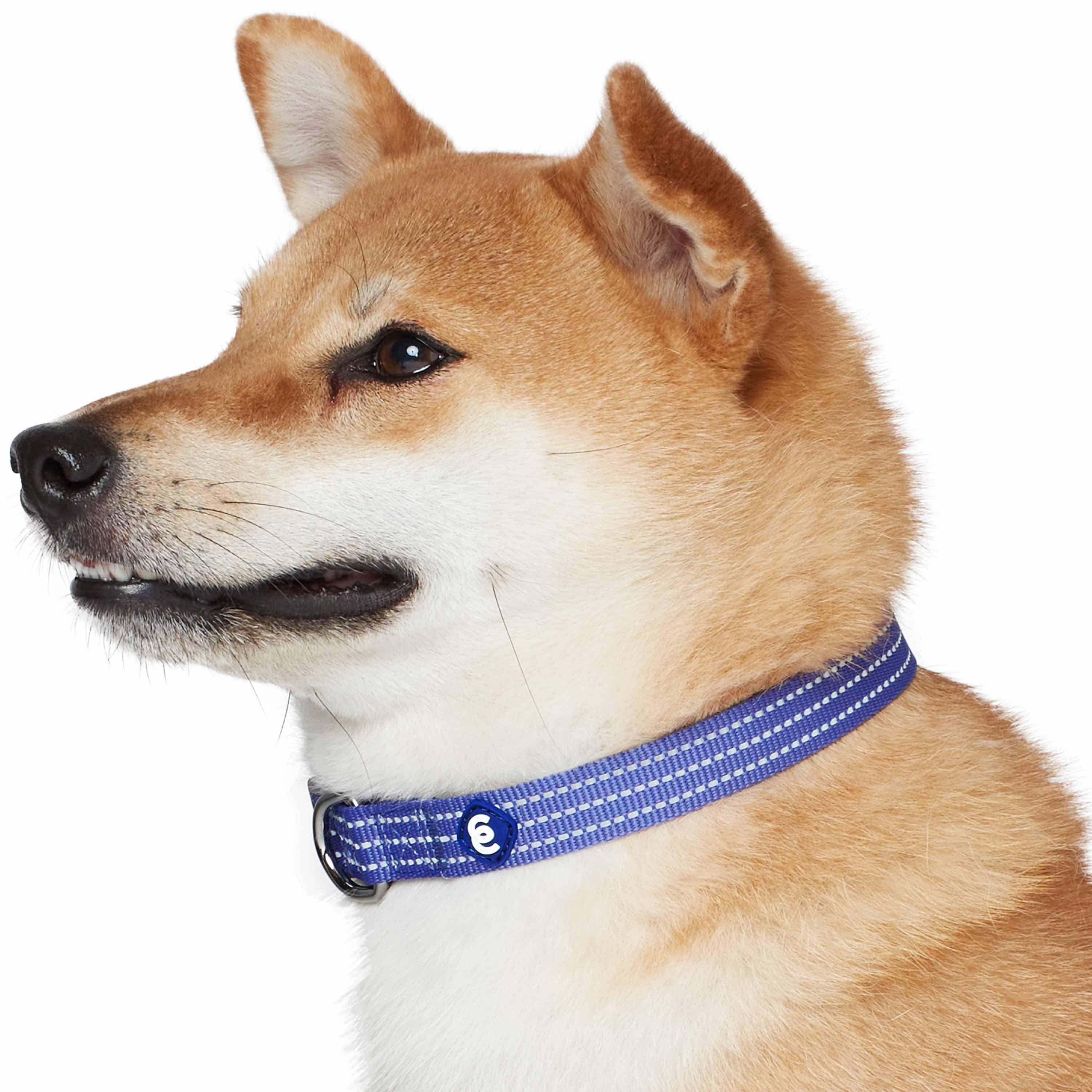 Blueberry Pet - Venta al por mayor Collar - Perros - Collar reflectante para perros Better Basic en 8 colores46