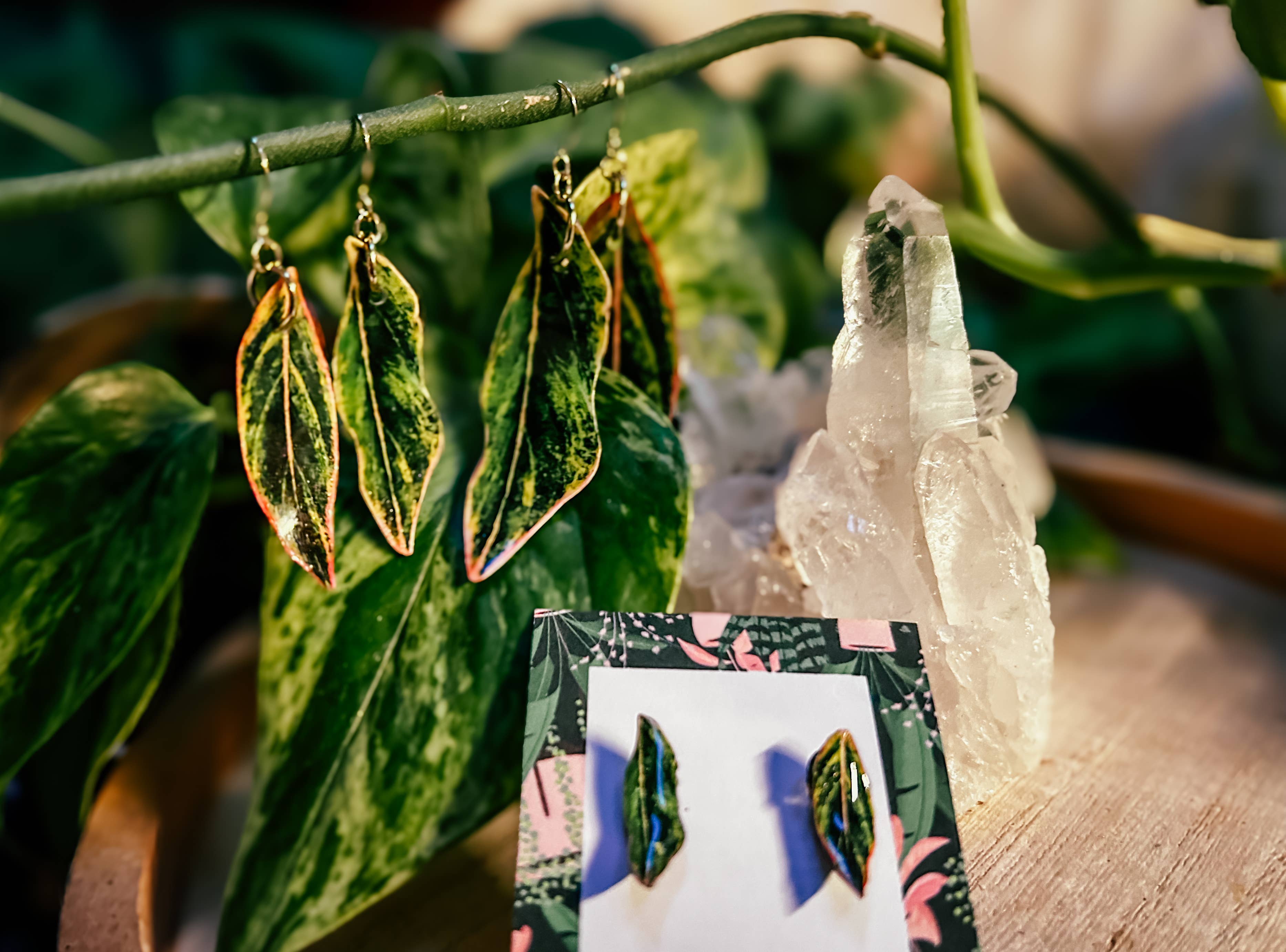 hethr - Wholesale Dangle Earrings - Aglaonema Earring, Magnet, Pin, Decor, Plant Lovers, Leaf (C1