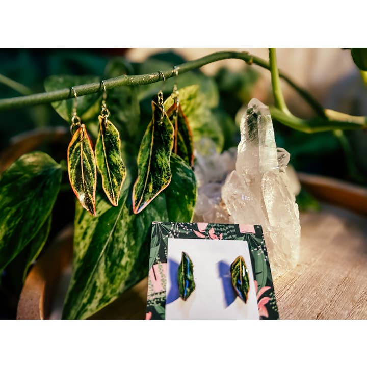 hethr - Wholesale Dangle Earrings - Aglaonema Earring, Magnet, Pin, Decor, Plant Lovers, Leaf (C1