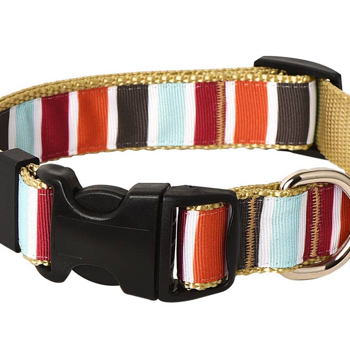 Paw Paws USA - Wholesale Pet Collar - Dog - Hula Hoop Dog Collar4