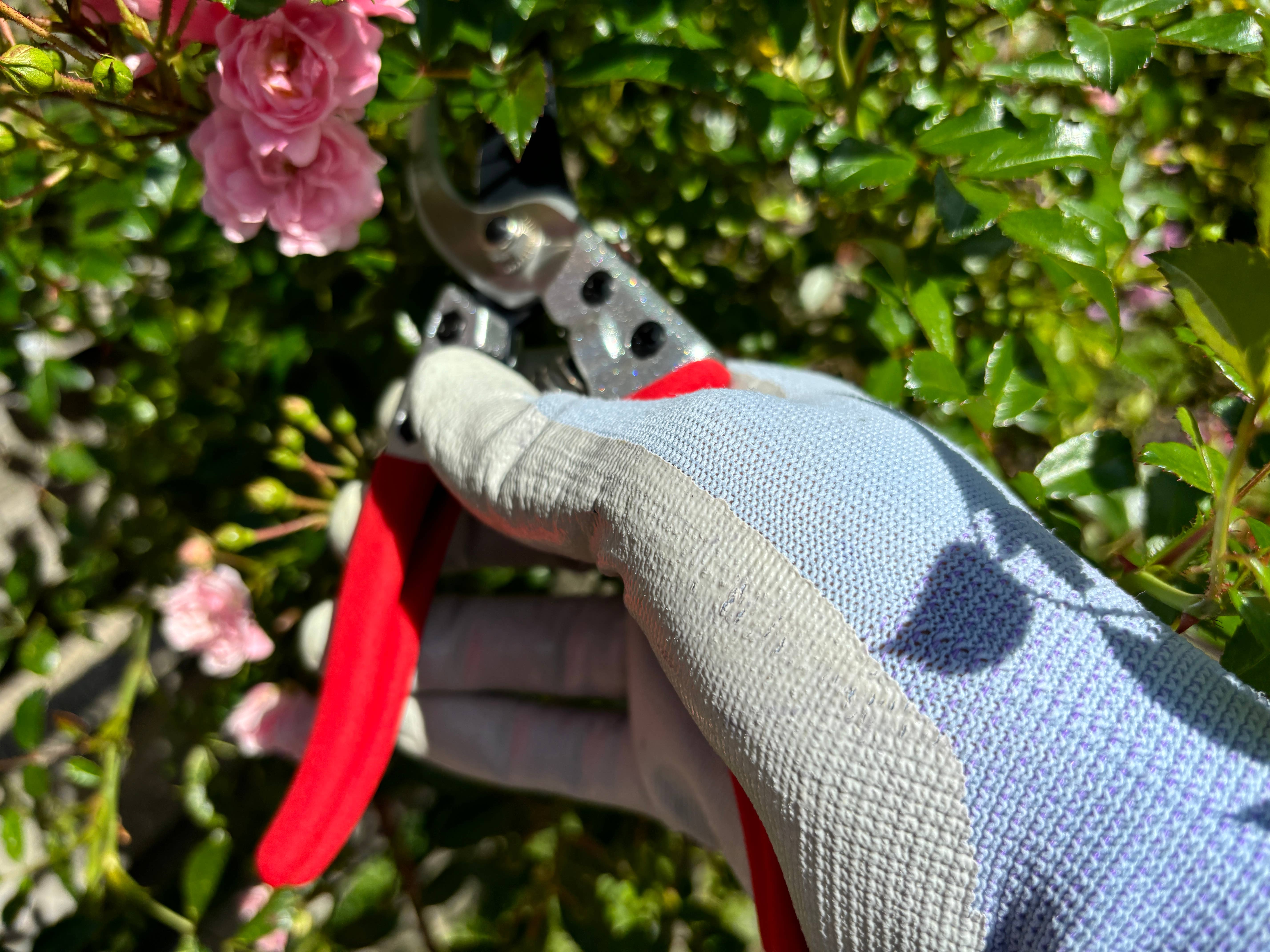 Gärtnertraum – wholesale Trädgårdsverktyg – Grensax - Sekatör20