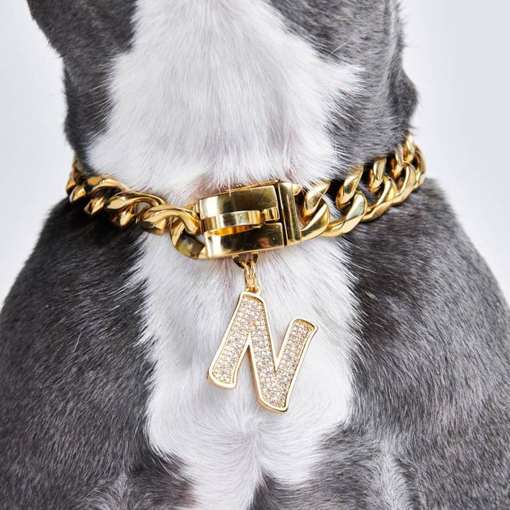 Spark Paws - Wholesale Pet Collar - Dog - Initial Letter Jewelry Tag - N