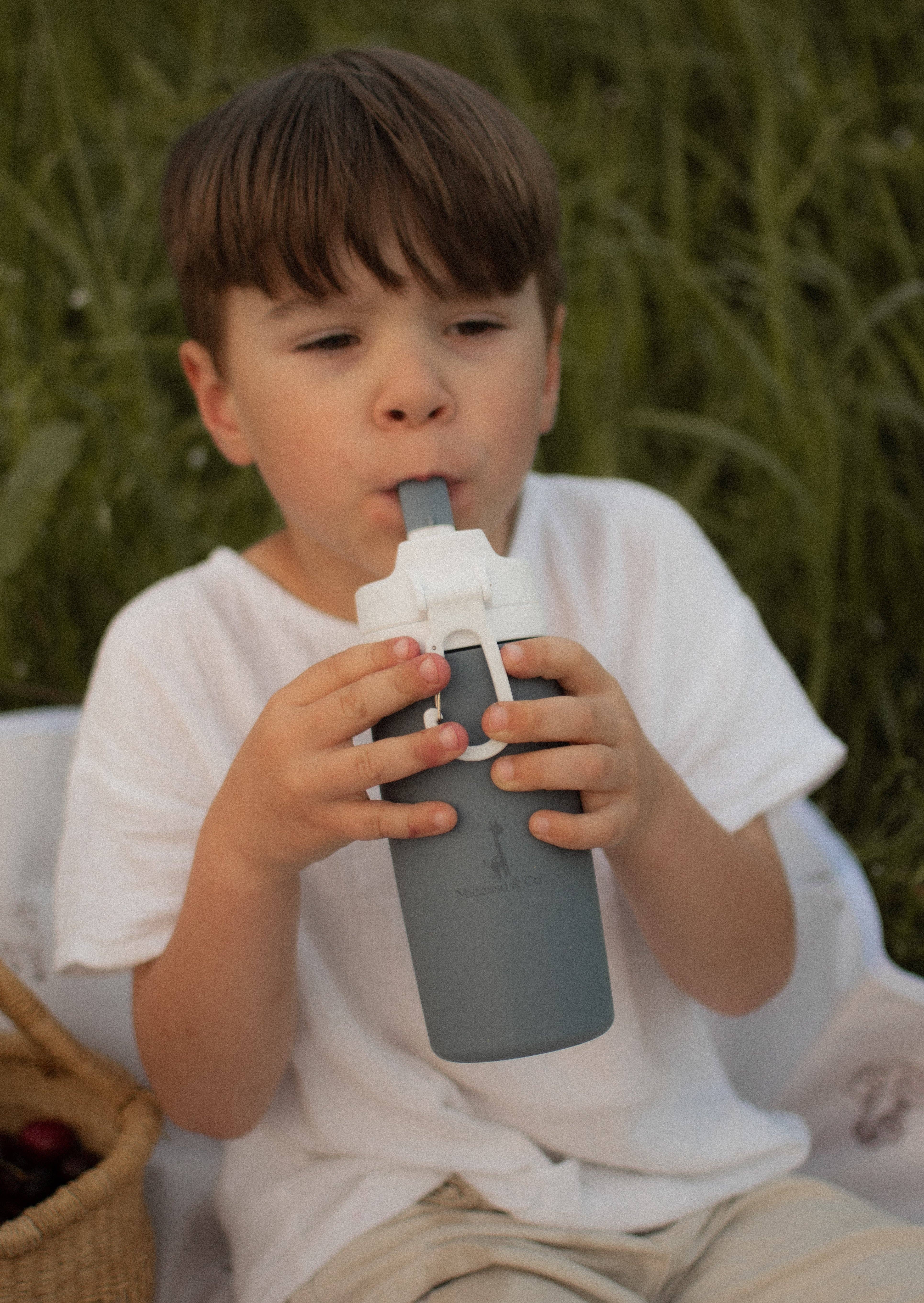 Micasso & Co - Wholesale Pet Water Bottle - Dog - 450 ml silicone water bottle8