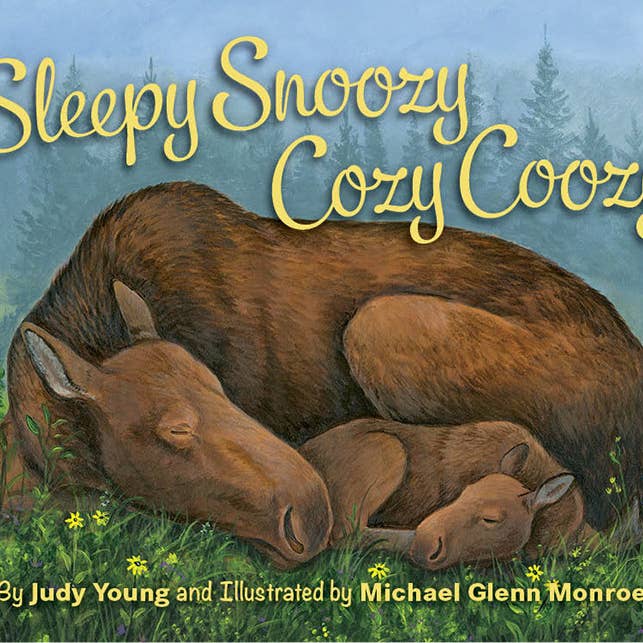 Sleeping Bear Press - Wholesale Book - Kids - Sleepy Snoozy Cozy Coozy Toddler Board Book