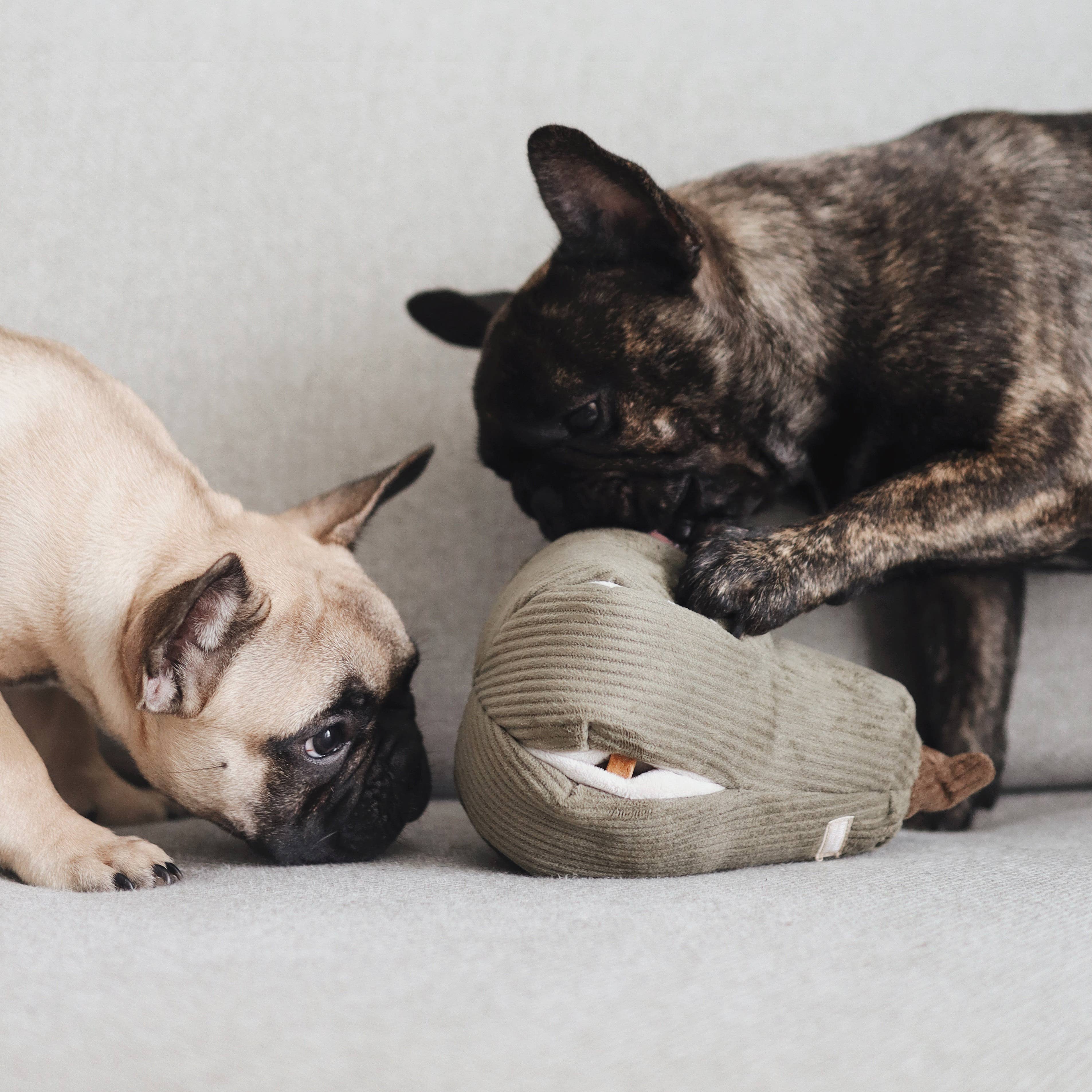 Lambwolf EU - Vente Jouet – chien - BUTTERNUT // Jouet d’enrichissement5