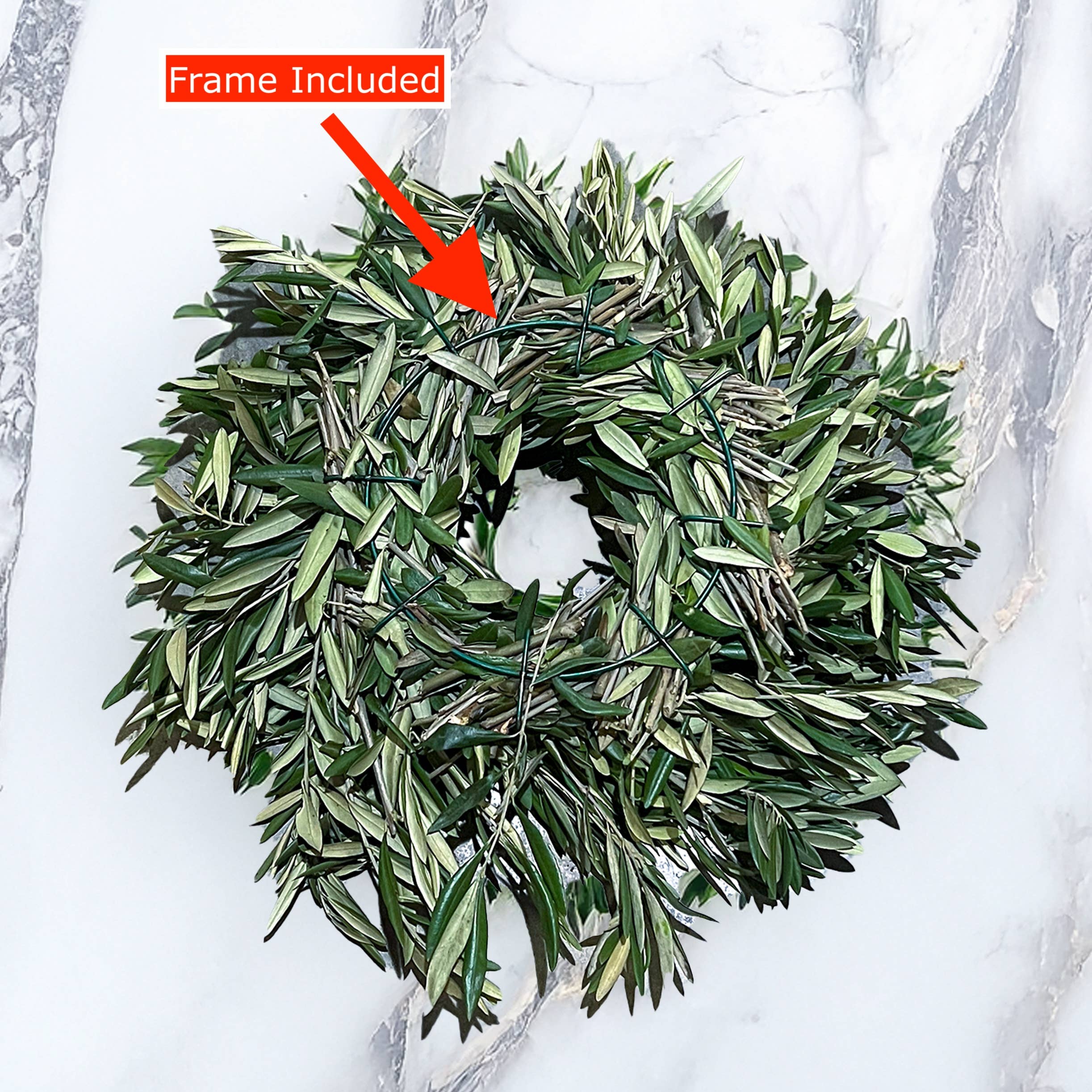 Self-Care Shower - Wholesale Wreath - Olive Wreath Real Fresh Live Leaves3