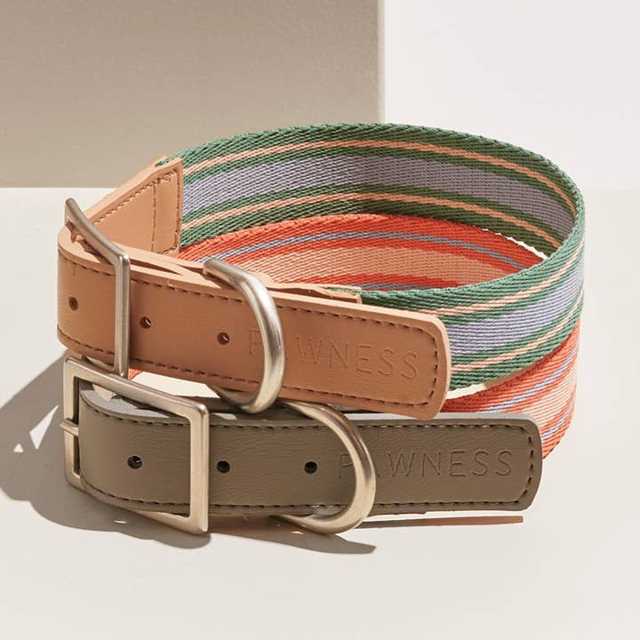 Pawness - Wholesale Pet Collar - Dog - Dog Collar Trix1