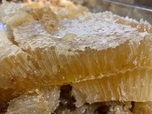 Bees & Co - Wholesale Honey - Bakers Honey2