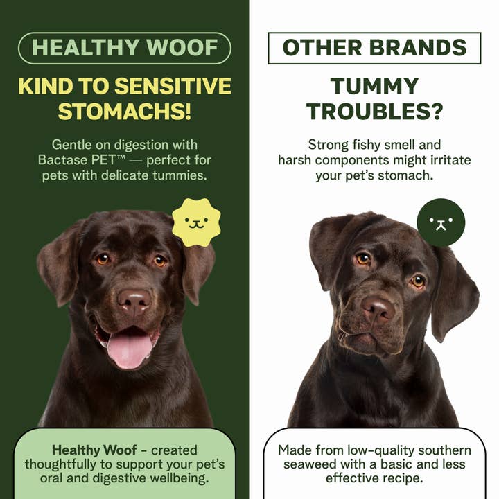 Healthy Woof - Wholesale Pet Supplement - Dog - Healthy Woof Dog Dental Powder for Clean Teeth, Big size3