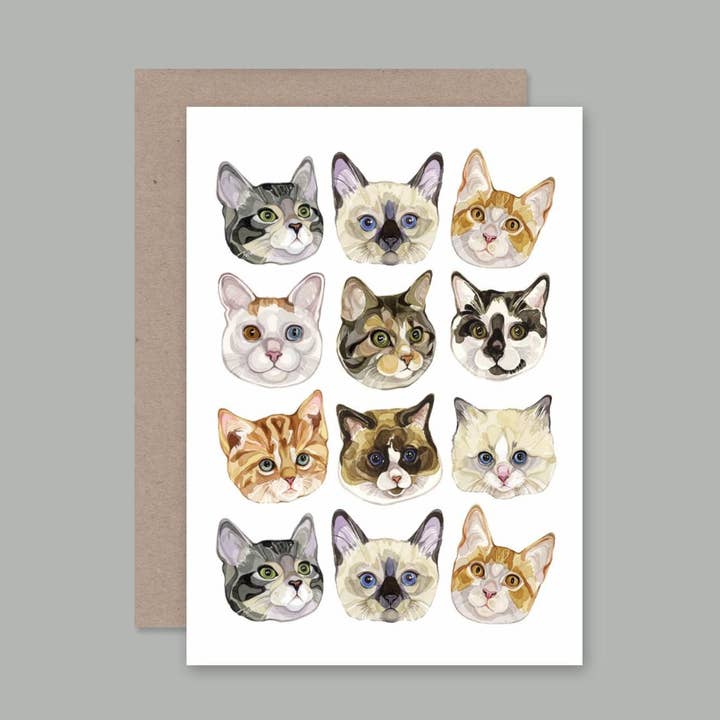 CATS card for wholesale by AHD Paper Co