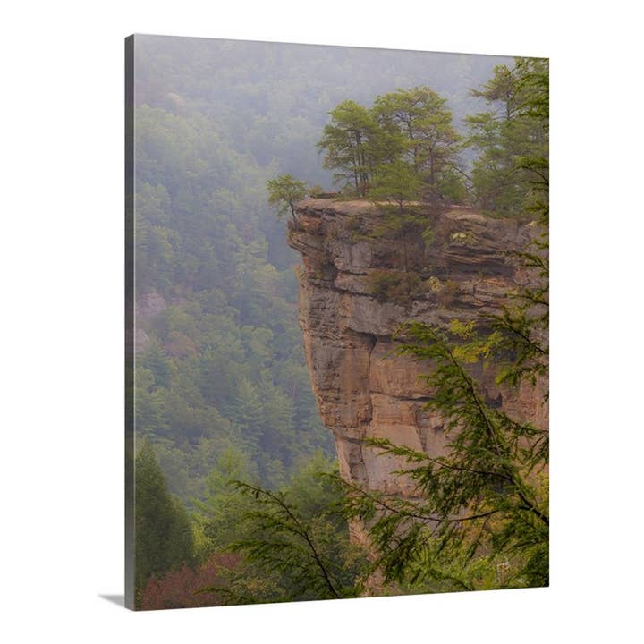 Fog In The Gorge Canvas for wholesale by Nature's Vista Photography