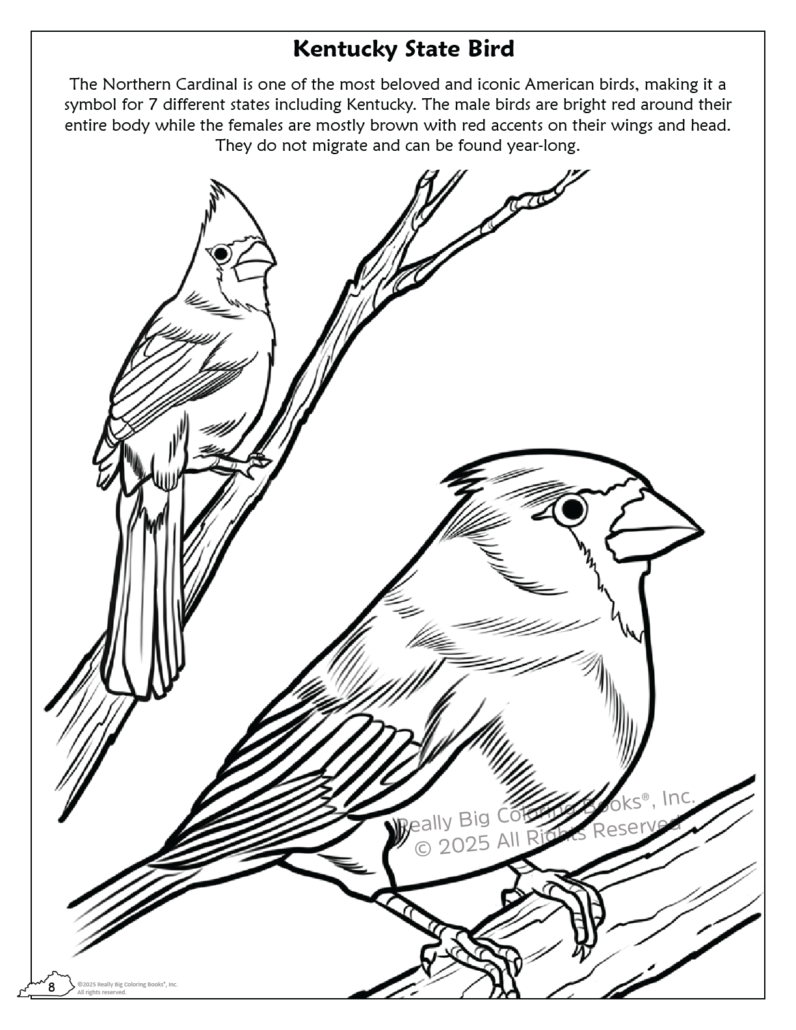 Really Big Coloring Books | ColoringBook.com - Wholesale Coloring & Activity Book - Kids & Baby - Kentucky State Coloring Book 8.5 x 113
