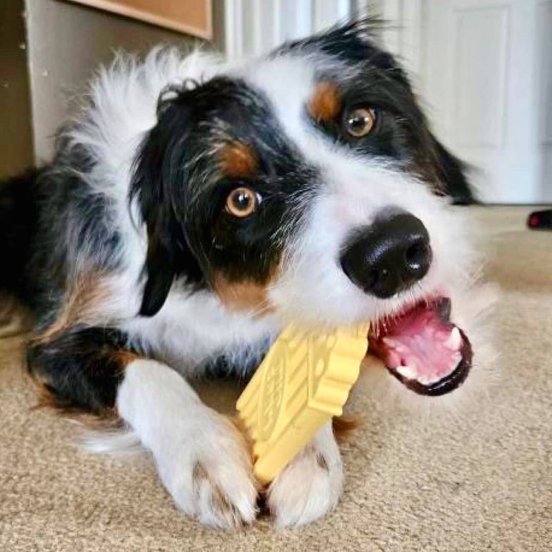 DuraPaw - Wholesale Pet Chew Toy - Dog - DuraPaw Pup Corn Super Tough Nylon Dog Toy8