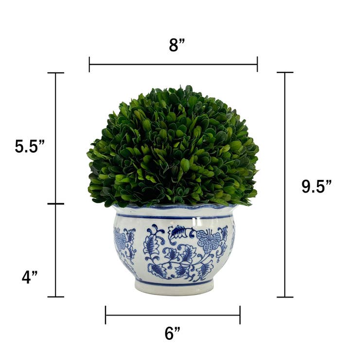 Galt International Company - Wholesale Artificial Plant - Boxwood Ball Topiary in Round Bulb Blue & White Ceramic Pot10