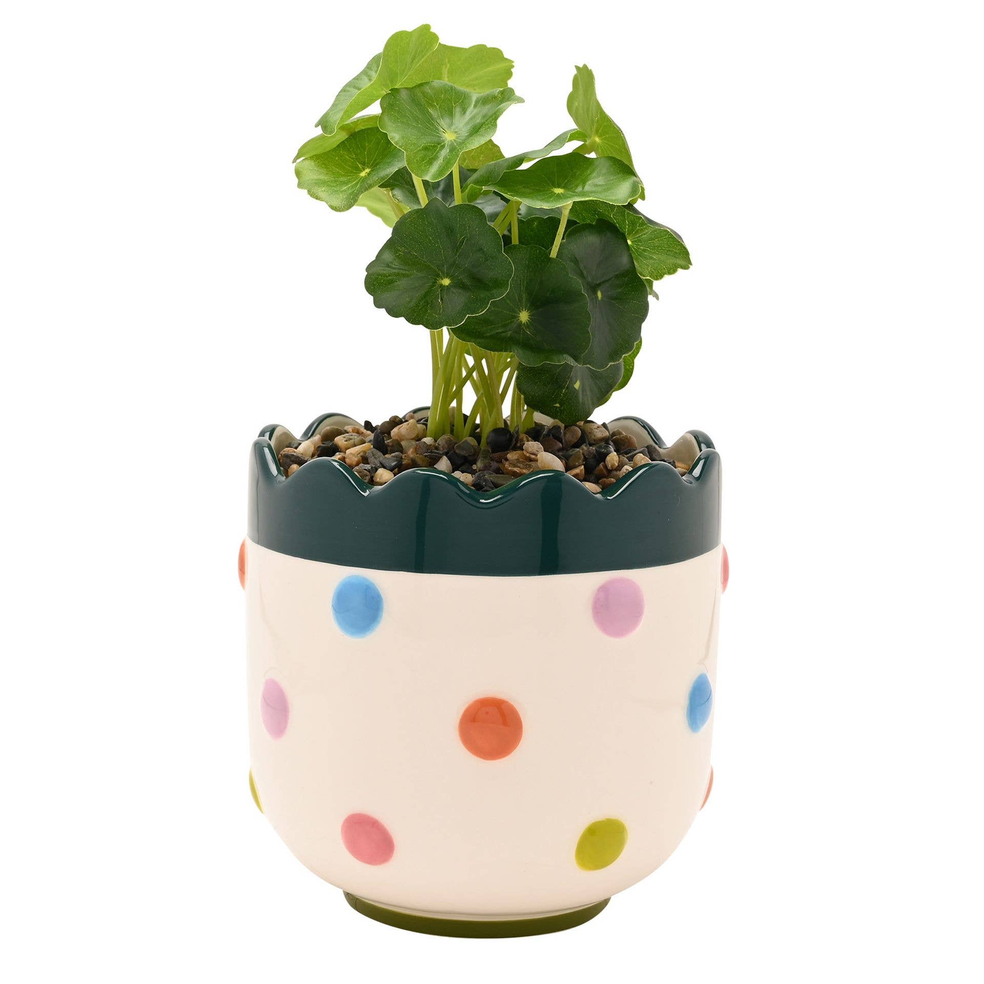 WIDDOP and Co. - Wholesale Artificial Plant - Raspberry Blossom Bobble Planter With Faux Plant1