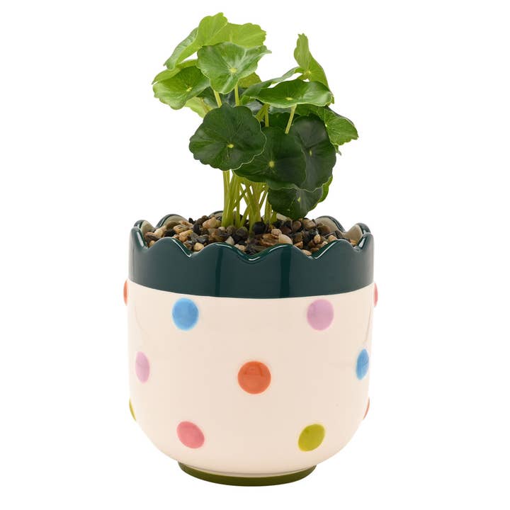 WIDDOP and Co. - Wholesale Artificial Plant - Raspberry Blossom Bobble Planter With Faux Plant1