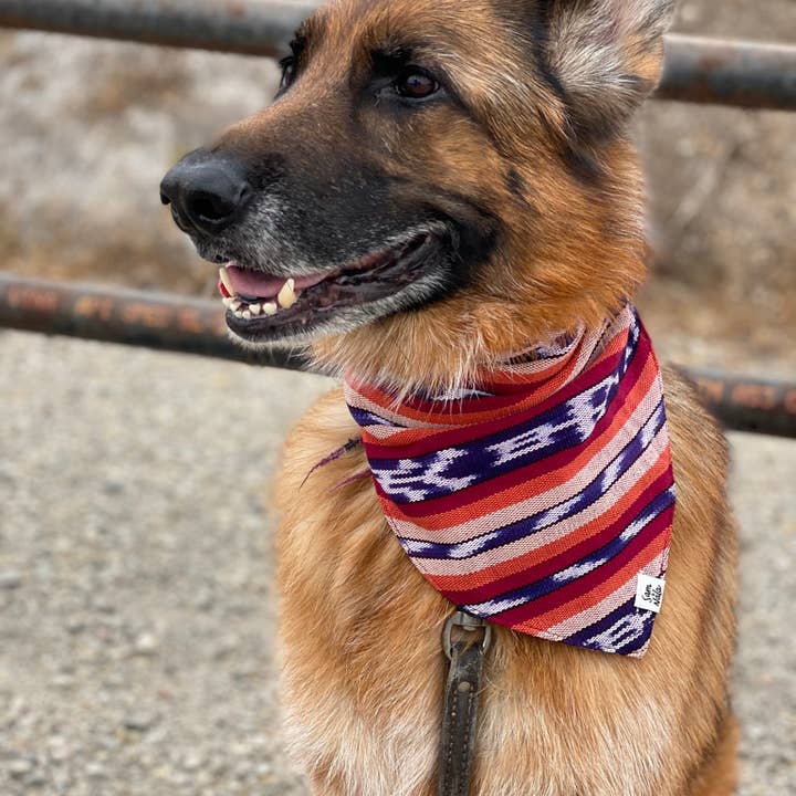 Sam & Nala | intentional style for pets & their people - Wholesale Pet Bandana - Dog - Esperanza Dog Bandana- Handwoven / Fair Trade