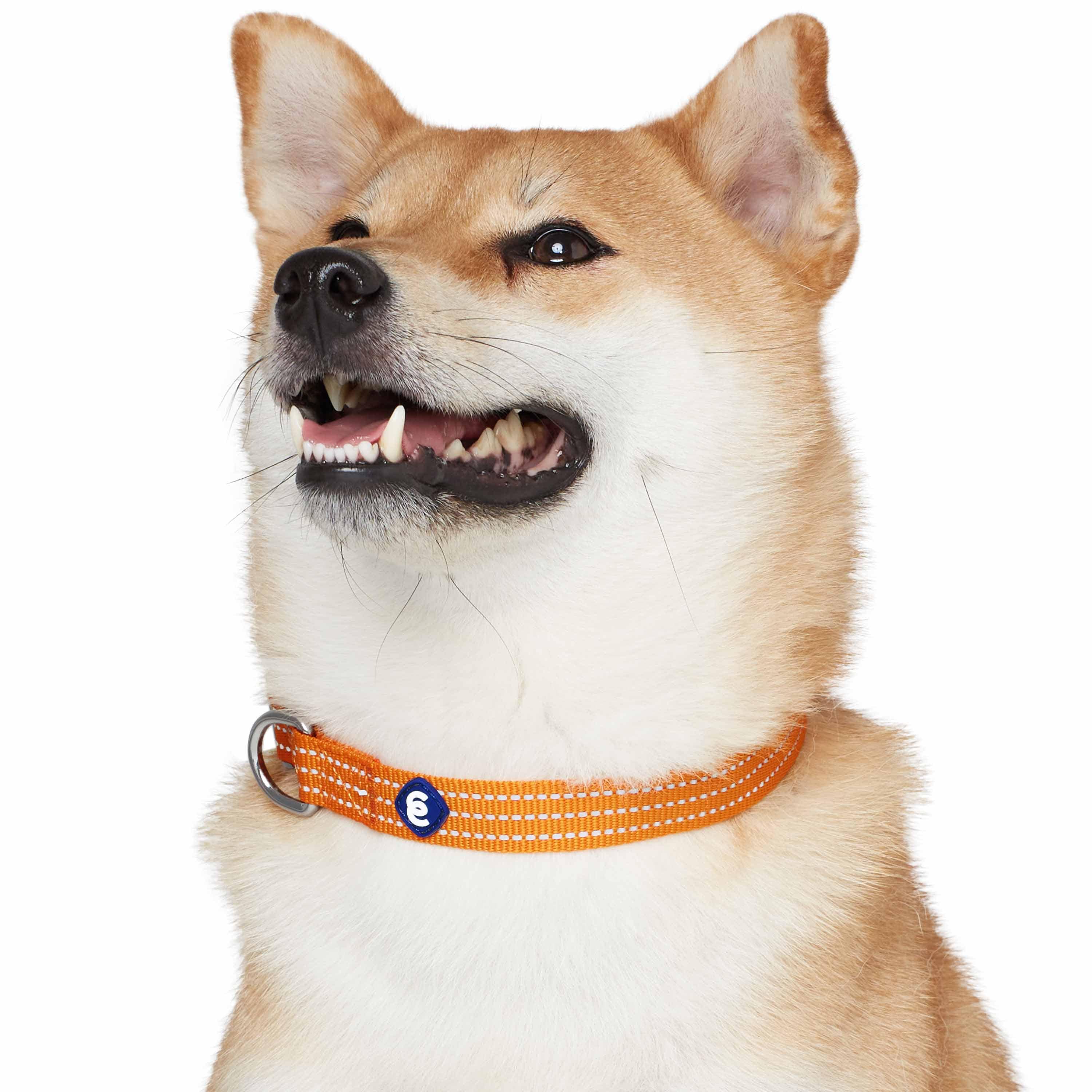 Blueberry Pet - Venta al por mayor Collar - Perros - Collar reflectante para perros Better Basic en 8 colores22