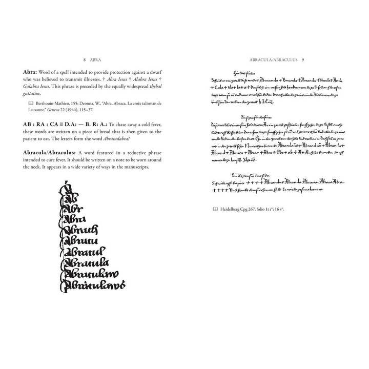 Simon & Schuster - Wholesale Book - Adult - Dictionary of Ancient Magic Words and Spells by Claude Lecouteux