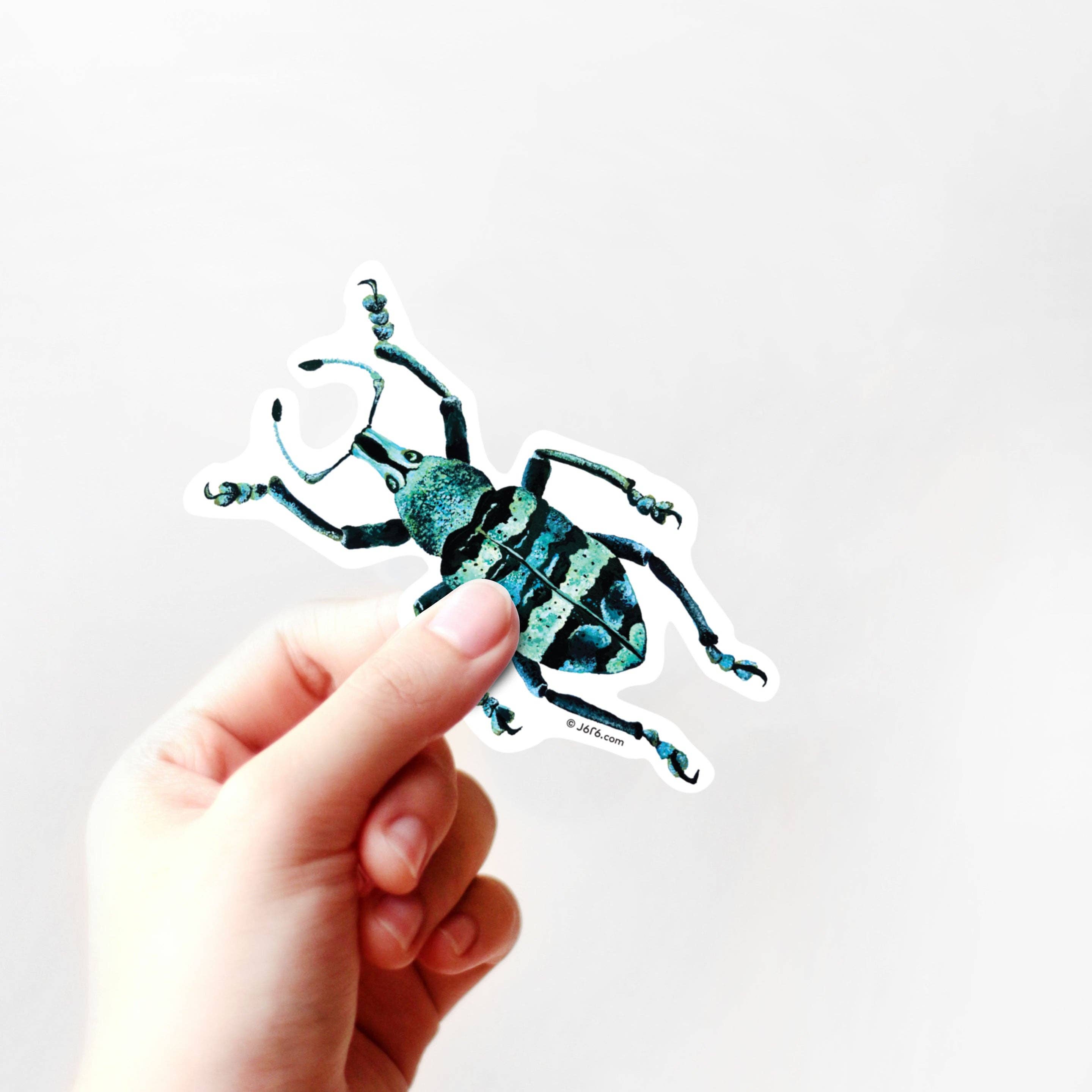 J6R6 - Wholesale Sticker - Weevil Bug Vinyl Sticker1
